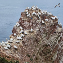 nordsee rundreise 2023_65